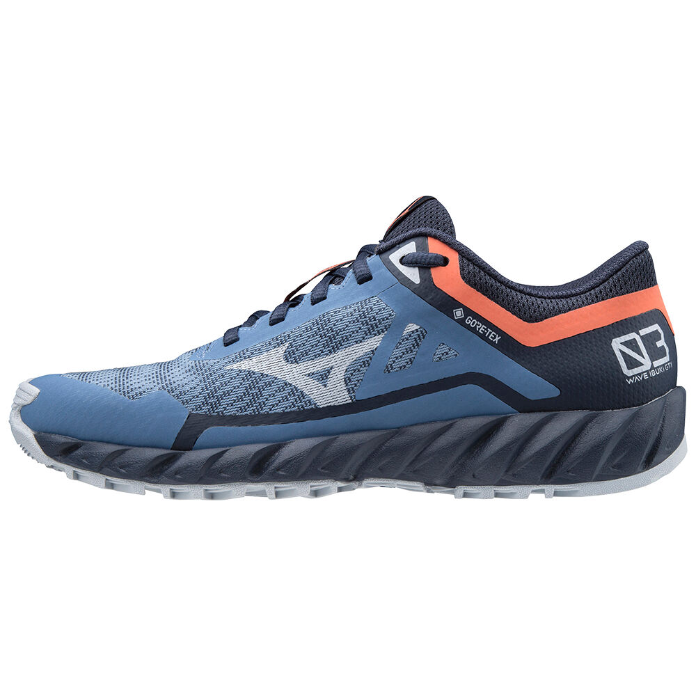 Zapatillas Trail Running Mizuno Wave Ibuki 3 GTX Mujer Azules Ofertas RKVO-37854